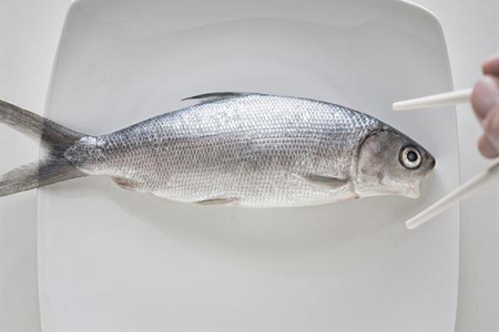 虱目魚怎么做?營(yíng)養(yǎng)醫(yī)師來揭秘