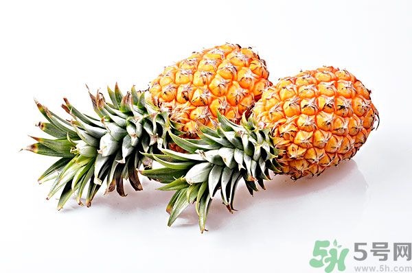 芒果和菠蘿能一起吃嗎？芒果和菠蘿一起吃好嗎？