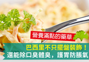 吃芹菜可以去口臭嗎？口臭可以吃芹菜嗎？