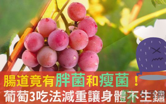 吃葡萄可以不吐葡萄籽嗎？吃葡萄皮好不好？