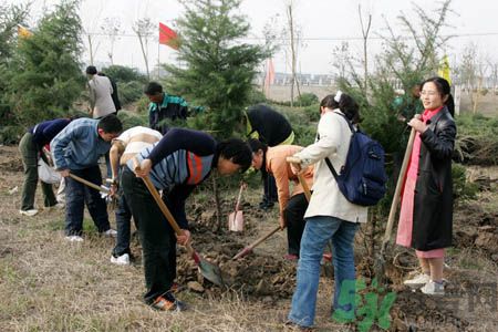 植樹(shù)節(jié)是幾月幾日？植樹(shù)節(jié)可以做些什么活動(dòng)？