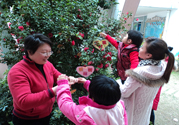 植樹節(jié)是幾月幾日？植樹節(jié)可以做些什么活動(dòng)？