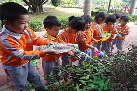 如何提高植樹的成活率？植樹節(jié)種樹要注意哪些細(xì)節(jié)？