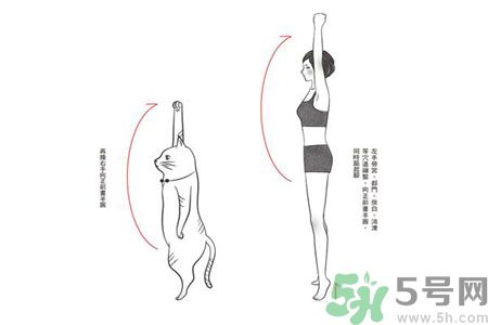 電腦族肩膀痛疼怎么辦？肩膀痛疼怎么解決？