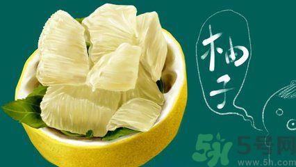 多吃柚子能減肥嗎？怎樣吃柚子才健康？
