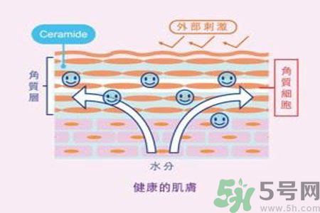 皮膚炎癢是怎么回事？皮膚炎發(fā)作怎么治療？