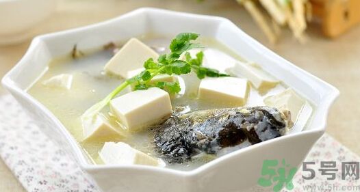 吃魚(yú)真的能變聰明嗎？喝魚(yú)湯有什么好處？