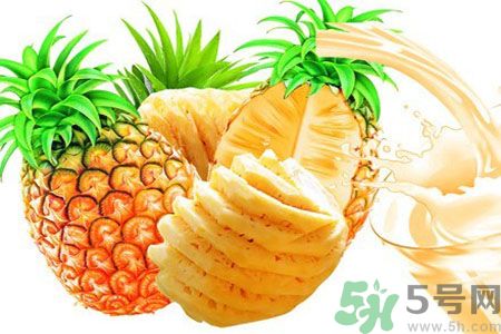 菠蘿和鳳梨有什么區(qū)別？菠蘿和鳳梨誰更好吃？