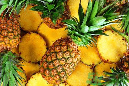 菠蘿和鳳梨有什么區(qū)別？菠蘿和鳳梨誰更好吃？