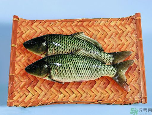 孕婦吃什么魚對胎兒好？孕婦吃什么魚最好？