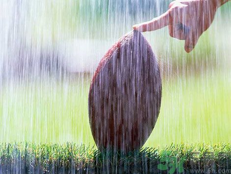 濕氣重的癥狀？怎么去除體內(nèi)的濕氣？