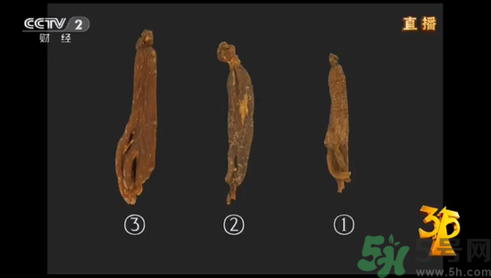 紅參怎么挑選？紅參摻糖怎么辯解？