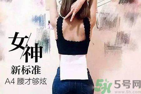 B5腰圍比A4腰圍更好？B5腰是什么意思？