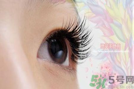 種睫毛的危害有哪些？種睫毛能保持多久？