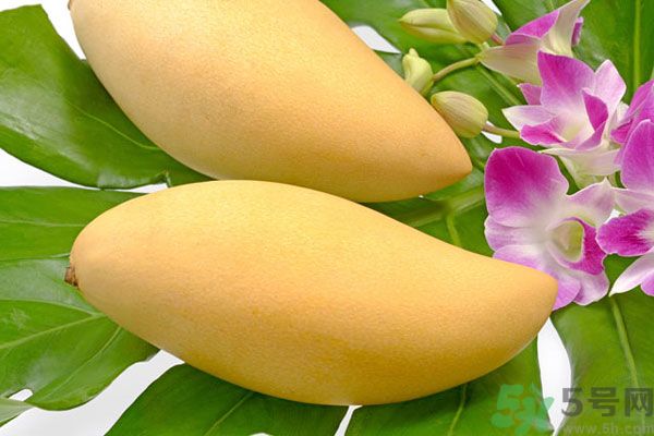 吃芒果嘴唇過敏怎么辦？為什么吃了芒果后嘴巴癢？