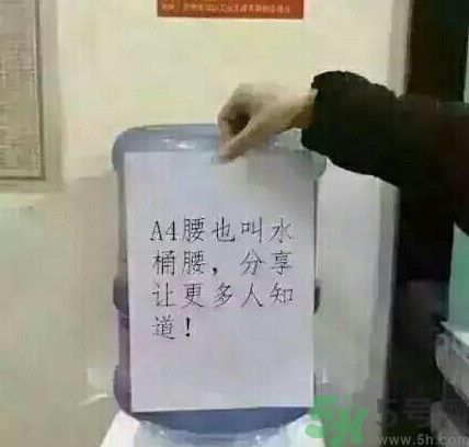 a4腰也叫水桶腰是什么意思？a4腰也叫水桶腰圖片？ 