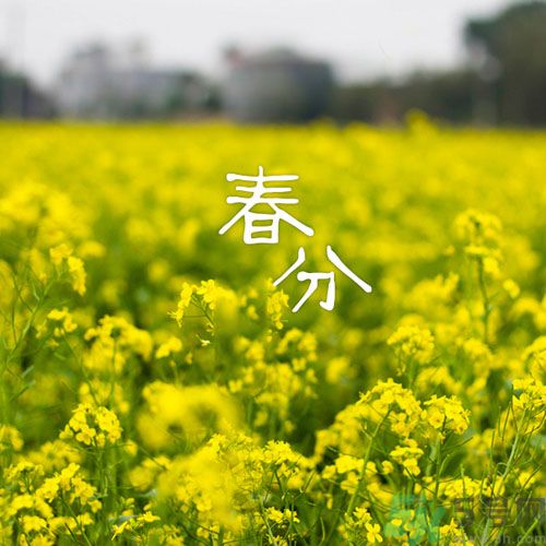春分時養(yǎng)生要注意什么？春分要預(yù)防哪些疾??？