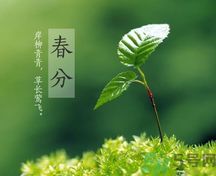春分時養(yǎng)生要注意什么？春分要預(yù)防哪些疾??？