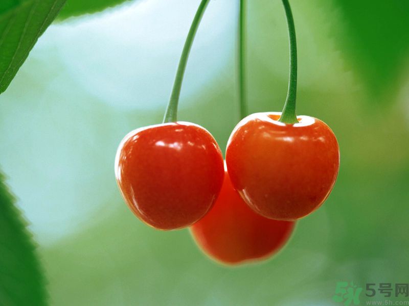 春分時(shí)節(jié)養(yǎng)生吃什么水果好？那些水果可以春天吃？