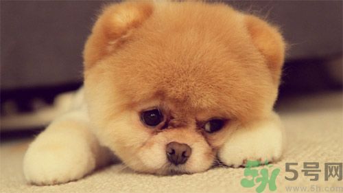睡覺能戴手表嗎？睡覺不能帶的東西有哪些？