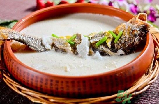煲魚湯怎么去腥？家常魚湯做法有哪些？