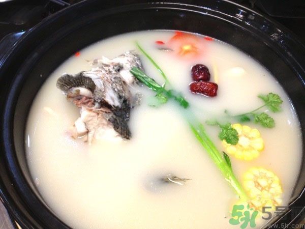 煲魚湯怎么去腥？家常魚湯做法有哪些？