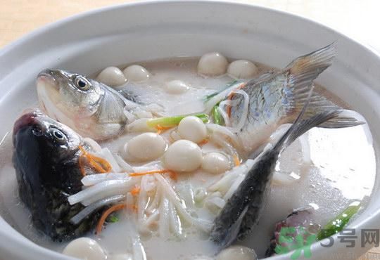 煲魚湯怎么去腥？家常魚湯做法有哪些？