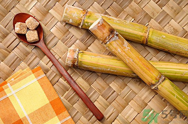 清明節(jié)能吃甘蔗嗎？清明節(jié)吃甘蔗會(huì)中毒嗎？