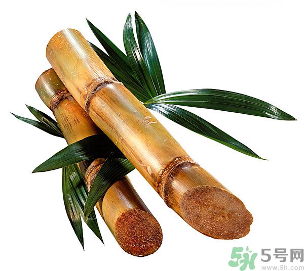 清明節(jié)能吃甘蔗嗎？清明節(jié)吃甘蔗會(huì)中毒嗎？