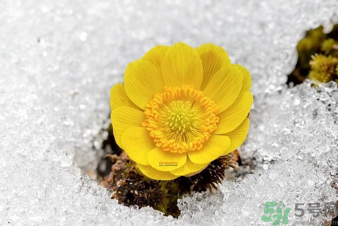 清明節(jié)有哪些習(xí)俗？清明節(jié)習(xí)俗的來源？