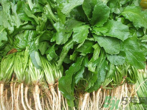 薺菜是發(fā)物嗎？薺菜是不是發(fā)物？