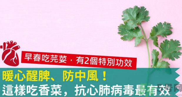 春天吃香菜好嗎？春天吃香菜有什么好處？