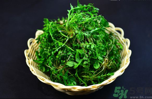 薺菜根能吃嗎？薺菜要去根吃嗎？