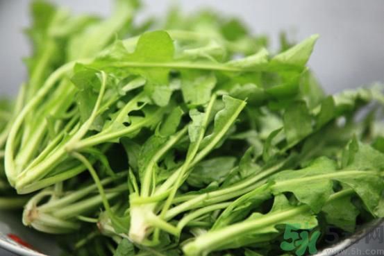 薺菜為什么要焯水？薺菜要用開(kāi)水燙嗎？