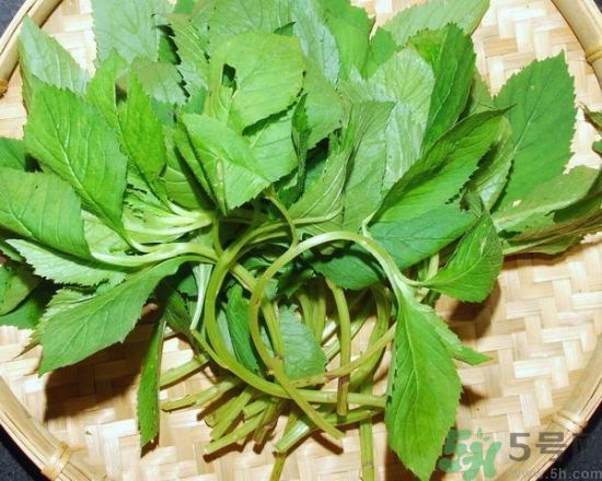 薺菜可以泡水喝嗎？薺菜泡水喝有什么好處？