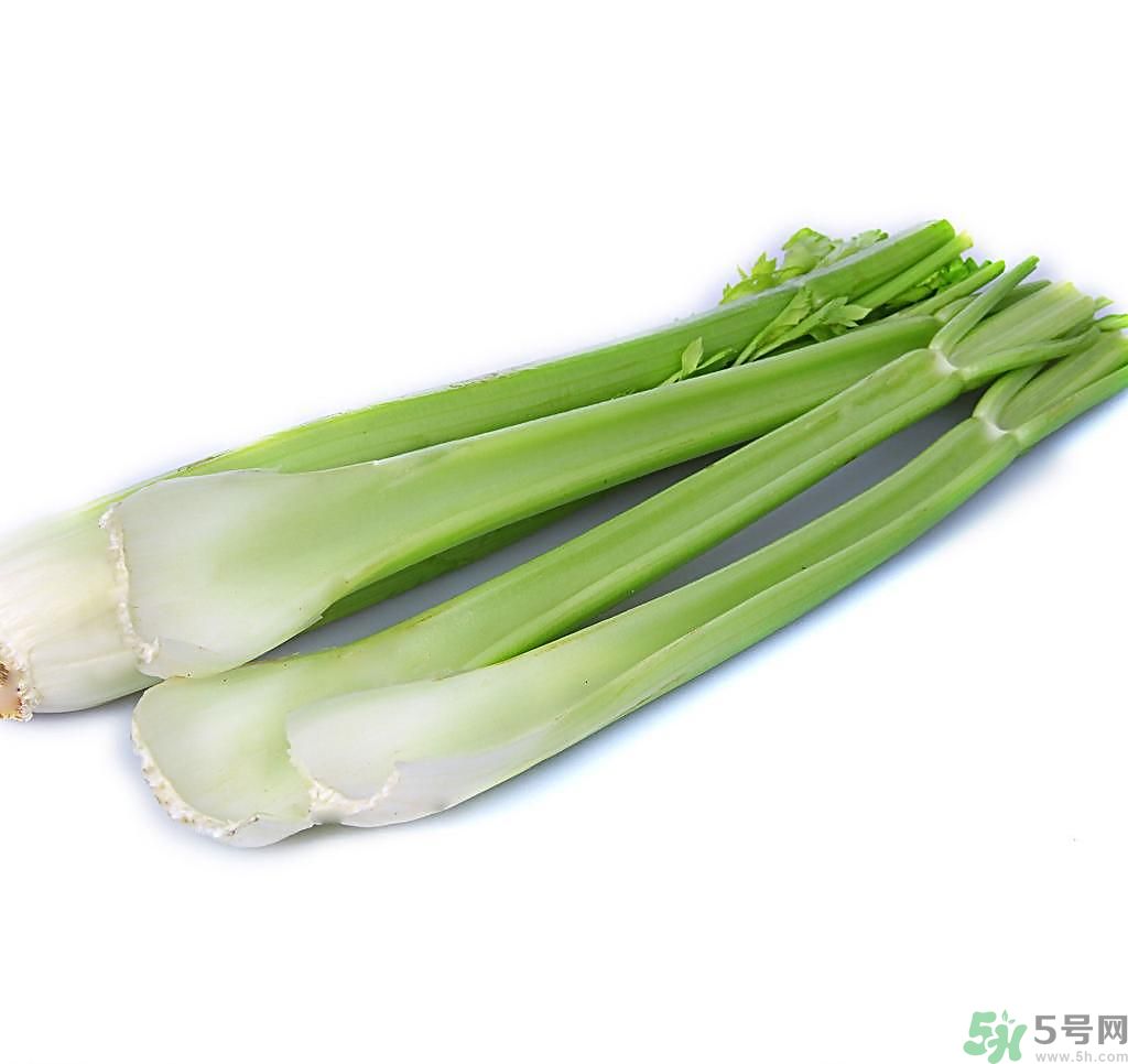 芹菜可以減肥嗎？芹菜有什么功效？