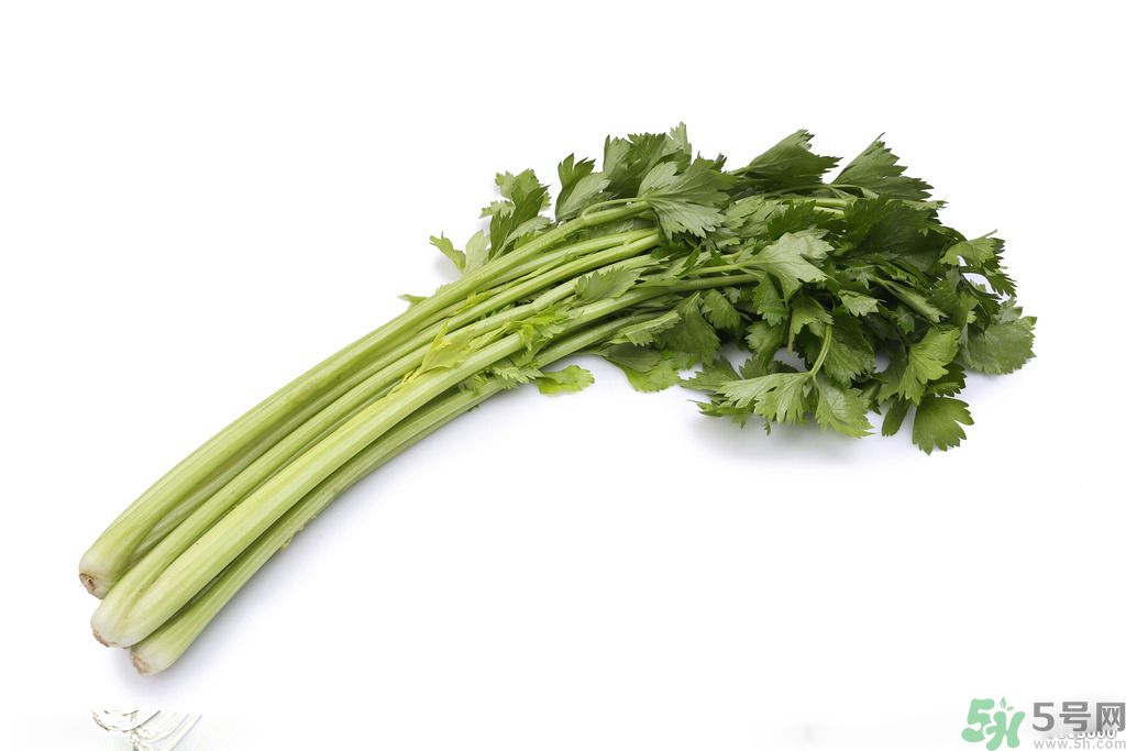 芹菜可以減肥嗎？芹菜有什么功效？