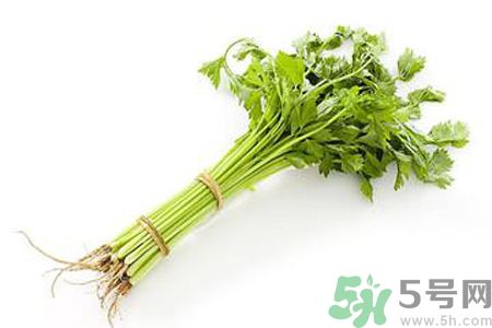 芹菜可以減肥嗎？芹菜有什么功效？