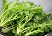 薺菜為什么要焯水？薺菜要用開水燙嗎？