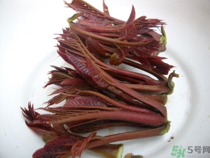 香椿好吃嗎？香椿可以做菜嗎？