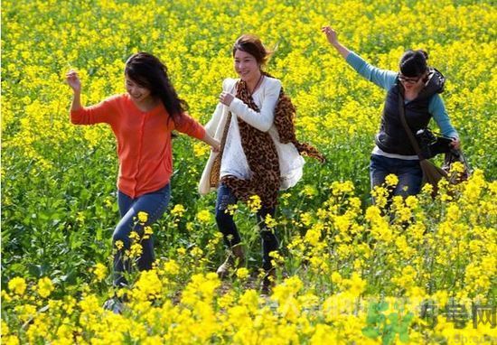 清明節(jié)的習(xí)俗有哪些？清明節(jié)吃什么？
