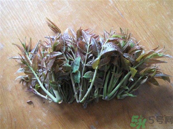 香椿怎么吃才安全？吃香椿的最佳時(shí)間是什么時(shí)候？