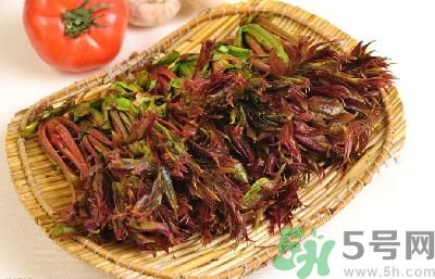吃香椿有什么好處？香椿可以預防疾病嗎？