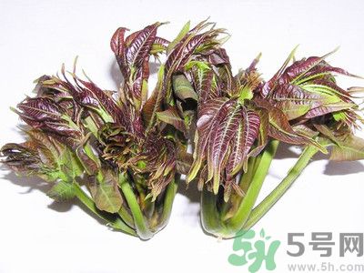 吃香椿有什么好處？香椿可以預防疾病嗎？