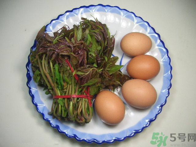 怎么挑選香椿呢？挑選香椿的小竅門？