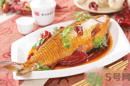 怎么挑選魚？挑魚的技巧有哪些？