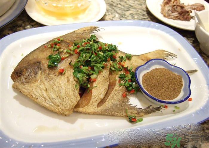 怎么挑選魚？挑魚的技巧有哪些？