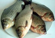 怎么挑選魚(yú)？挑魚(yú)的技巧有哪些？