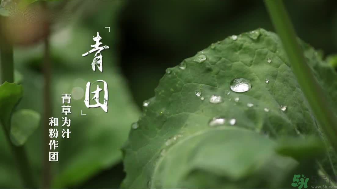 什么人不能吃青團？吃青團要注意什么？