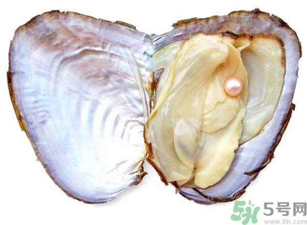 河蚌什么時(shí)候吃最好？吃河蚌有什么好處？